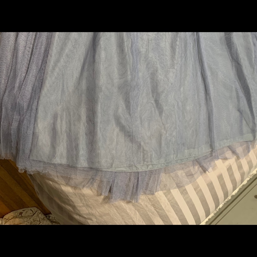 Floor length tulle skirt.  Jenny Yoo. Size 4. - Picture 8 of 8